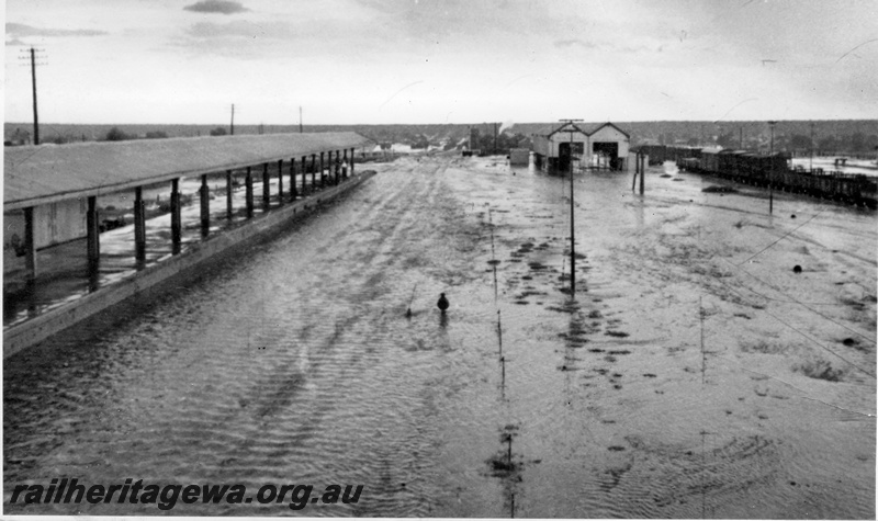 P14916
1 of 4 views of the floods at Kalgoorlie, EGR line, view looking west across the flooded yard, shows platform and loco sheds in the background
