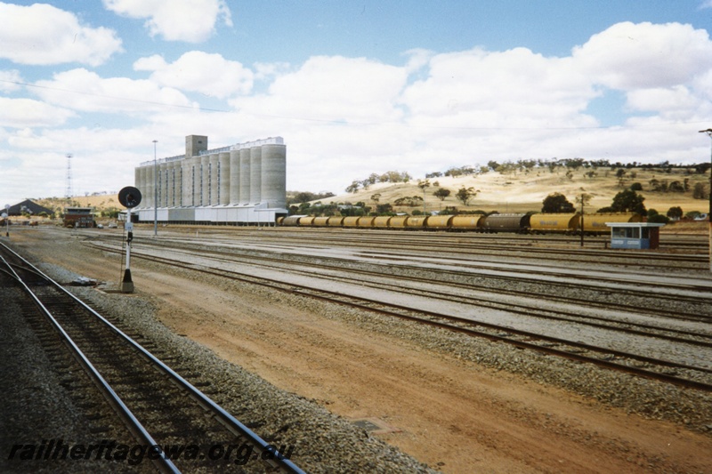 P15307
Rake of wheat wagons, wheat silos, tracks, light signal, Avon yard, near Northam
