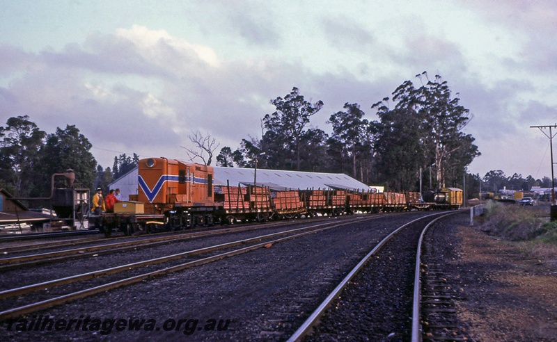 P15649
An unidentified Y class in the Westrail orange with blue stripe livery hauls a timber train through the yard at Manjimup, PP line, view along the train.
