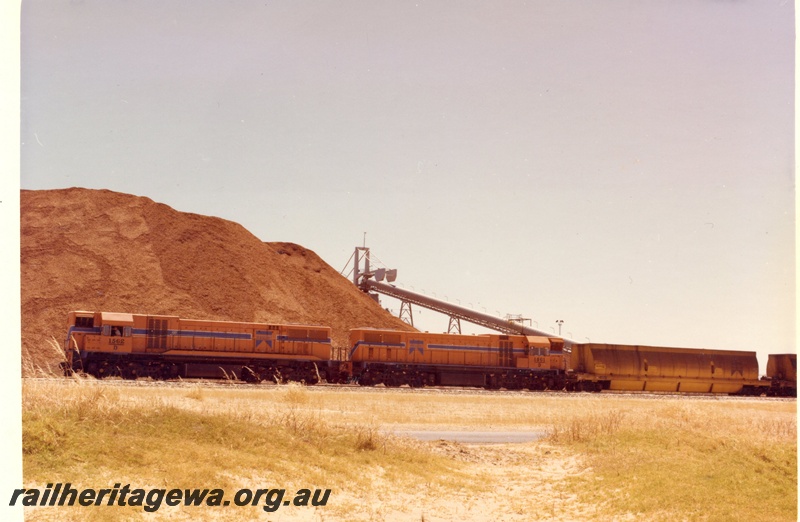 P15882
D class 1562 and D class 1561, both in Westrail orange with blue and white stripe, on goods train comprising hopper wagons, loading from conveyor belt, side on view 
