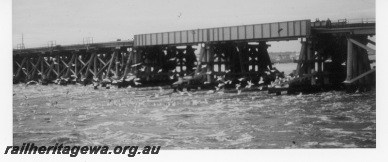 P16218
Fremantle Railway Bridge. Showing the steel girder spans which replaced the wooden trusses in 1953, Swan River, Fremantle, ER line, view of the girders from the river.
