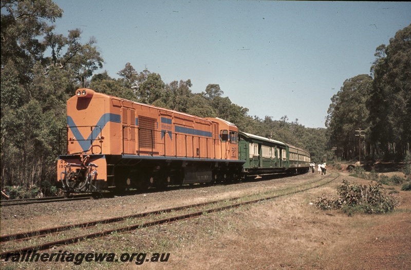 P16663
RA class 1908, in  the new Westrail orange with blue stripe livery, long hood leading, ARHS tour train to Fernbrook, green and cream carriages, passengers, Beela, BN line, bush setting, front  and side view
