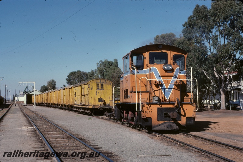 P16682
TA class 1811 diesel locomotive, in Westrail orange with blue and white stripe, shunting a rake of yellow vans, loading gauge, goods shed, country hotel, side and front view, Katanning, GSR line
