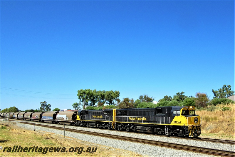 P16778
Watco Australia DR class 1565 & DR class 1564 on an empty grain train passing through Hazelmere
