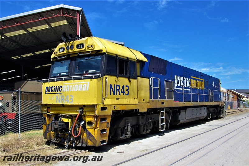 P16895
Pacific National loco, NR class 43, parked on the inner loop line, at the site of the Rail Transport Museum Bassendean front and side view.
