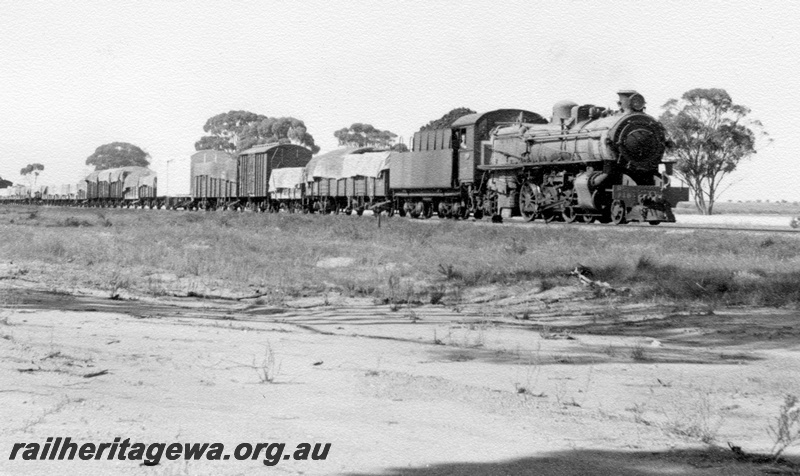 P17216
PM class 713, on goods train, EGR line, side and front view, c1966
