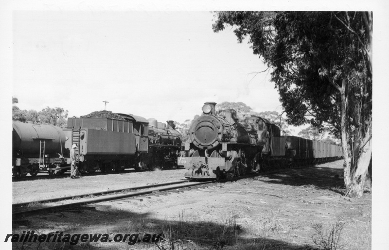 P17405
PMR class 725, on No 106 goods train, crossing PM class 709, on No 103 goods train, Williams, BN line
