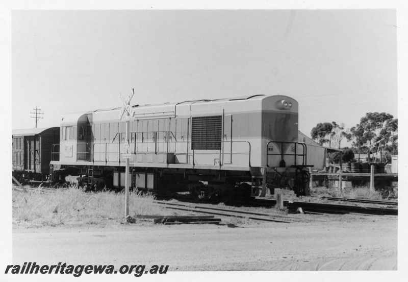 P17773
1 of 3 images of K class 207 on its delivery run to WA at Southern Cross, EGR line, on narrow gauge transfer bogies, at a level crossing, side and long hood end
