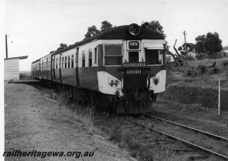 P17809
A 3 car unidentified ADG/AYE/ADG suburban railcar set at Koongamia prior to operating the last service from that station. M line. Note portion of station building.
