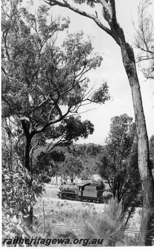 P17830
W class 911 steam locomotive on a special goods train to Wagin leaving Bowelling. WB line. The line in the foreground is the Bowelling to Narrogin branch.
