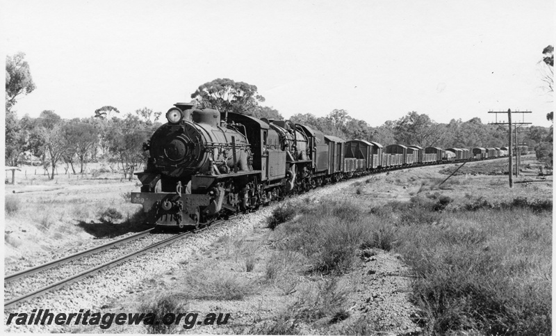 P18209
W class 959 steam locomotive double heading with V class 1220 steam locomotive, front and side view, on goods train, Cuballing bank, GSR line.
