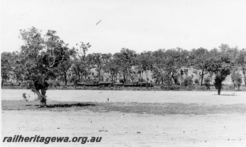 P18539
W class 919, W class 914, on No 54 Wagin to Collie goods train, WB line, distant side view
