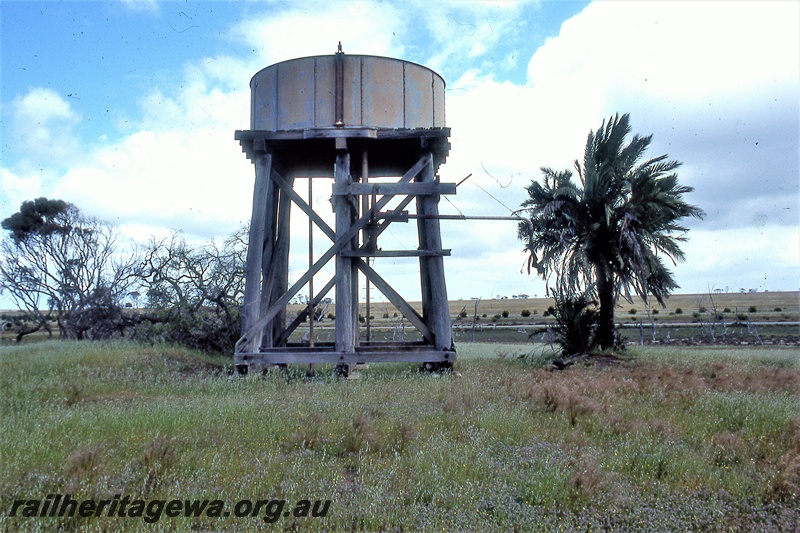 P19760
Water tower, palm tree, Formby, TO line
