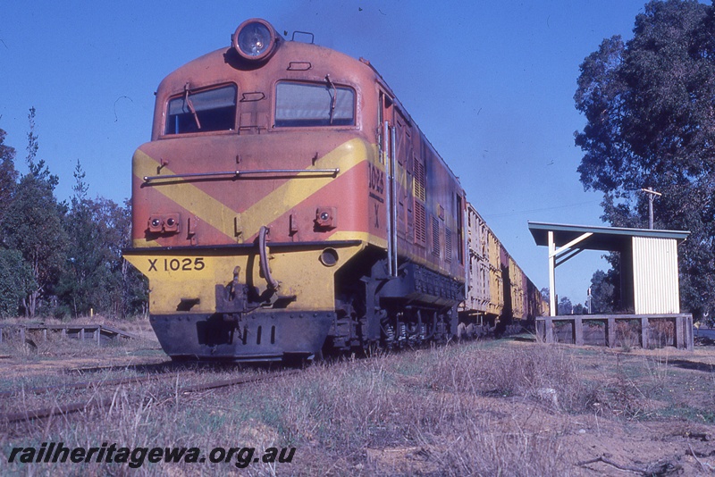 P19953
X class 1025 in the International Safety orange  livery with yellow chevron and stripe, on goods train, passing station shed, loading ramp, Lowden, DK line
