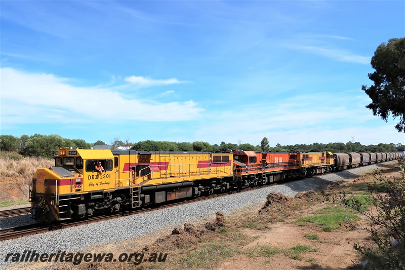 P19995
CBH Group locomotives, DBZ class 2301 City of Bunbury, DBZ class 2301 Shire of Serpentine-Jarrahdale and , DBZ class 2305 Shire of Harvey on a grain train passing through Hazelmere, driver K. Wright at the window.
