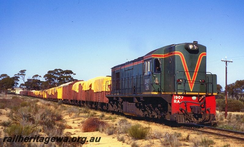 P20127
RA class 1907, in green livery with red and yellow stripe, on goods train of vans and covered wagons, rural setting, GM line, side and front view
