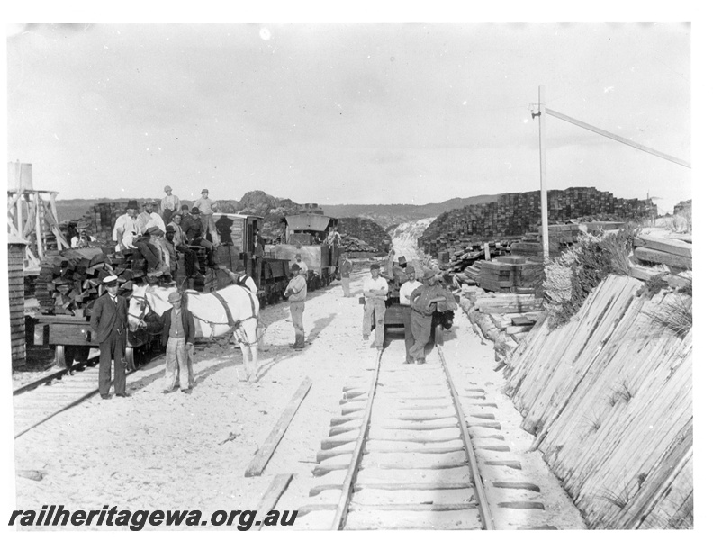P20208
Loading sleepers onto rail wagons, Hamelin Bay, horse in foreground

