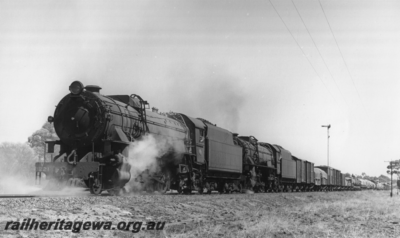 P20664
V Class 1221 double heading with another V Class, goods train, unknown location, tall semaphore home signal
