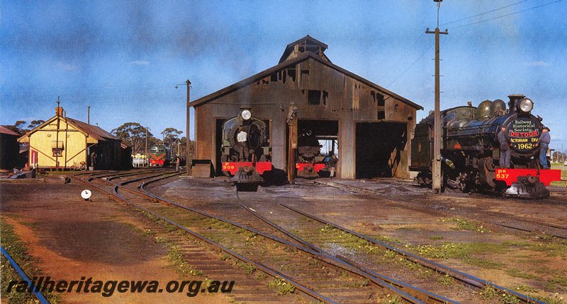 P20783
Merredin Loco Shed showing X class 1013 (green with red/yellow stripe livery), P class 505, W class 948, PR class 537 