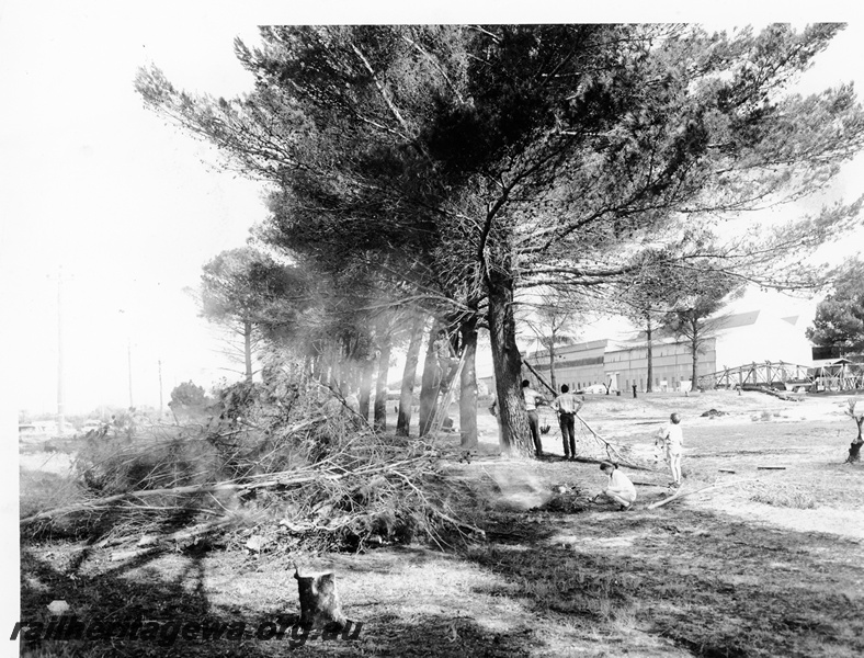 P20836
Site of the proposed Railway Museum, as clearing begins, trees, industrial buildings, members, Bassendean, ER line

