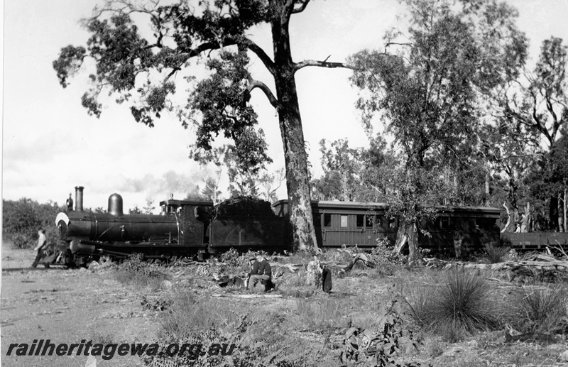 P20844
Millars G class 61 on Australian Railway Historical Society excursion train to Jarrahdale bush landing, tourists, KJ line, Front and side view from trackside 
