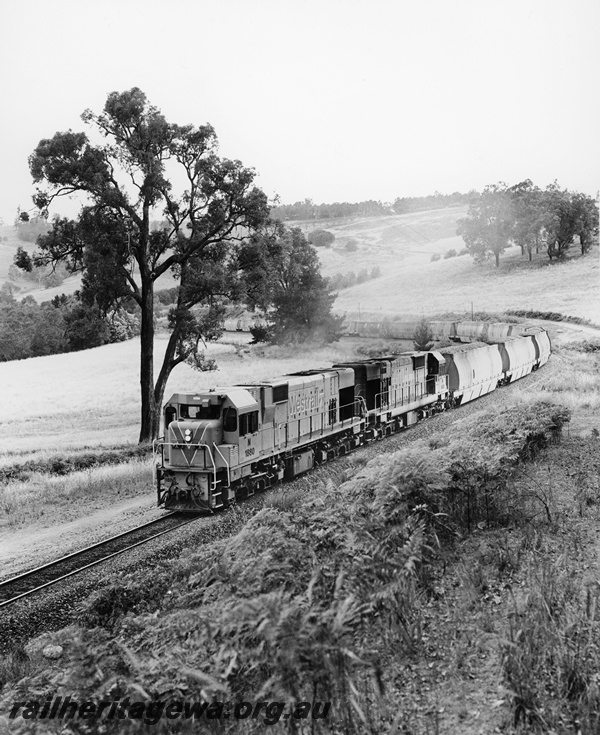 P20849
N class 1880 double heading with another N class, loaded woodchip train, just north of Balingup, PP line, view of the train
