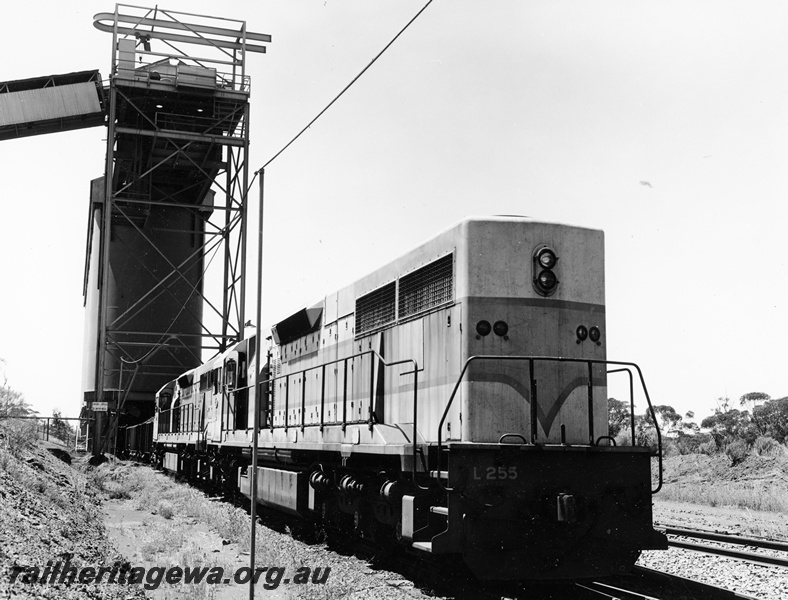 P20886
L class 255 leads another L class through the iron ore loader at Koolyanobbing. EGR line.
