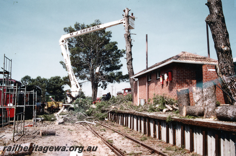 P20931
The removal of the pine trees on the platform at the Rail Transport Museum, Bassendean prior to the first section of roof being constructed, view along the platform showing the M. J. Sherrin cherry picker
