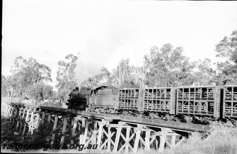 P22679
W class crossing trestle bridge over the Preston River, Boyanup. PP line.
