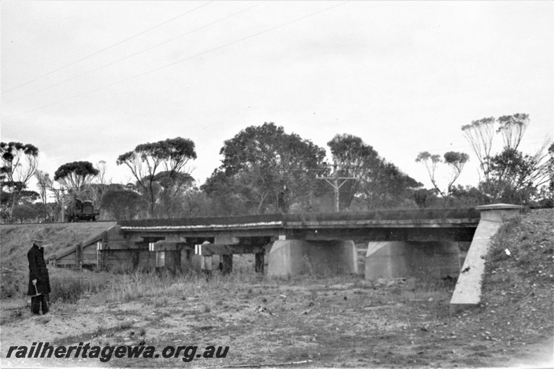P22977
Hay River bridge near Denmark, D line
