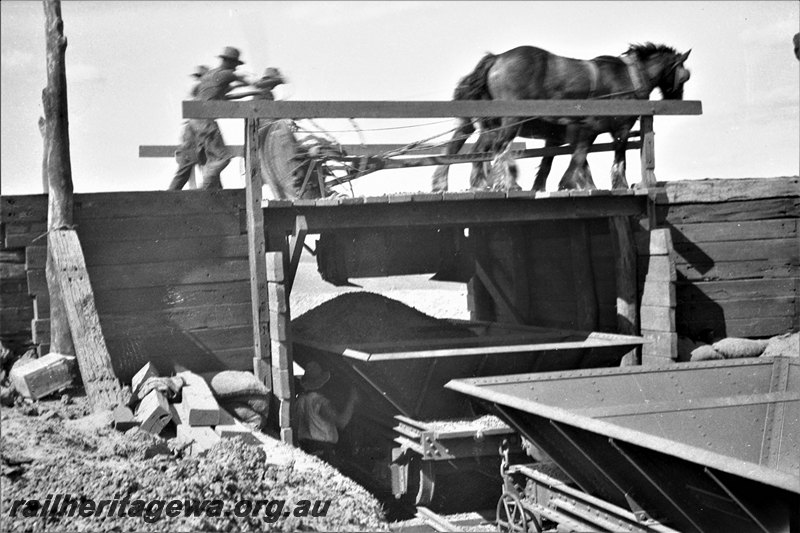 P22988
Eradu bridge Greenough River construction.NR line.
