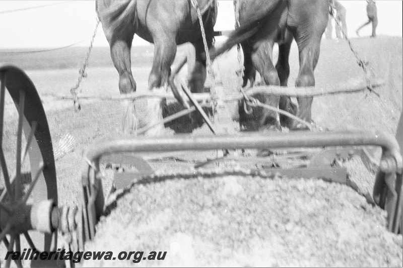 P22991
Eradu bridge Greenough River construction. NR line

