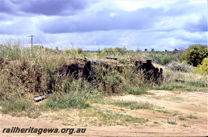 P23047
Abandoned sleepers, overgrown site, Ajana, GA line, ground level view
