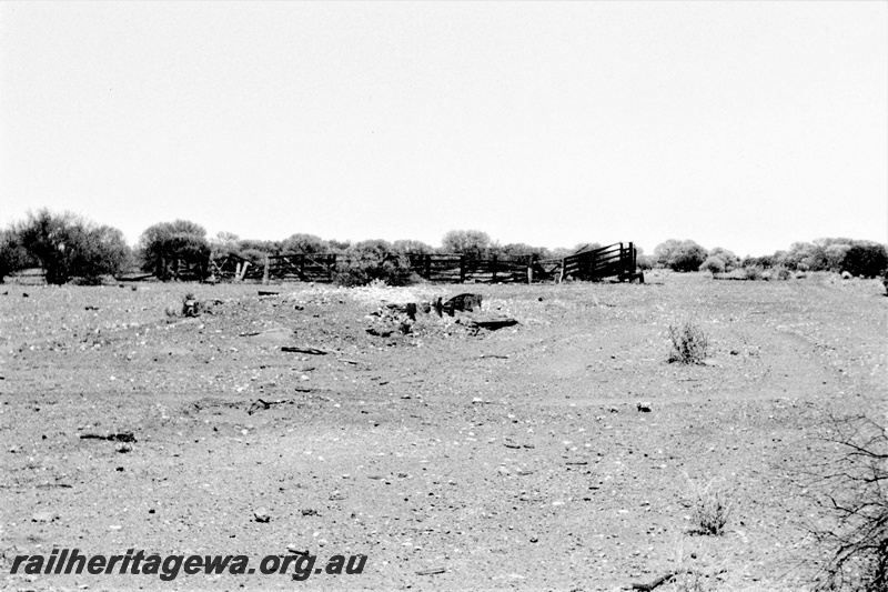 P23068
Stock yard and loading ramp,  Paynesville, NR line, ground level view looking west
