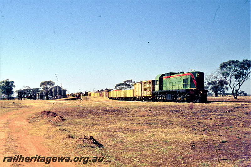 P23080
AA class 1518, on goods train, platform, stock yard and loading ramp, shed, Coomberdale, MR line, side and front view
