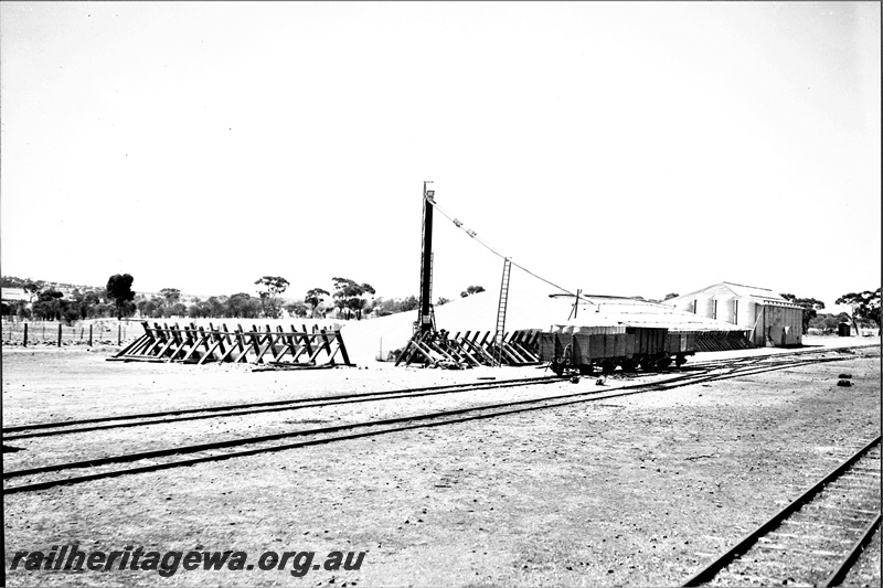 P23170
Wagons, wheat bin, tracks, bush setting, track level view

