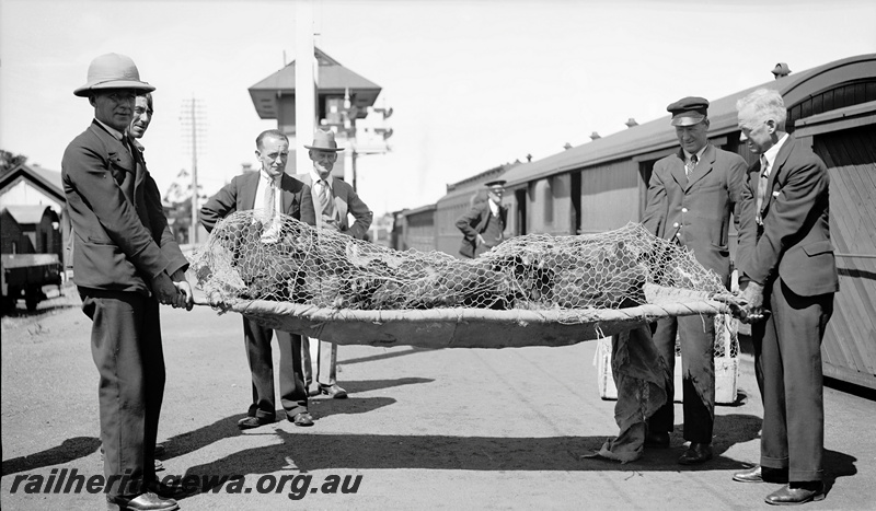 P23327
Loading live Christmas poultry on a wire covered stretcher  onto a train, elevated signal box in the background, Northam, ER line.
