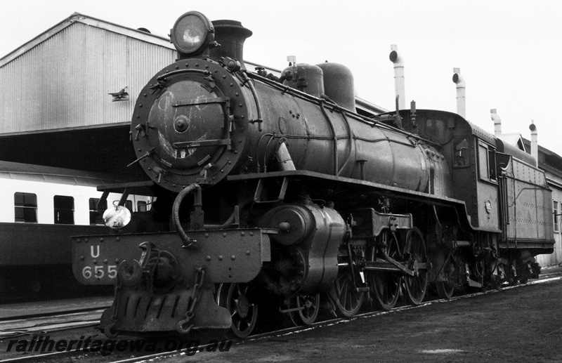 P23601
U class 655, chalked face on smoke box door, carriage, shed, front and side view from trackside 
