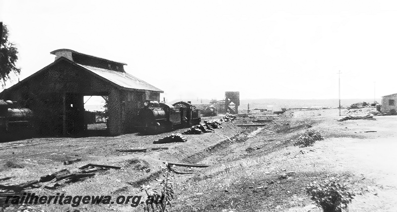 P23625
Various steam locomotives, engine shed, coal stage, locomotive depot, Mullewa, NR line, ground level view
