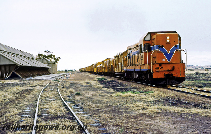P23658
A class 1505, on wheat train, wheat bin, siding, Gabalong, CM line, side and front view 
