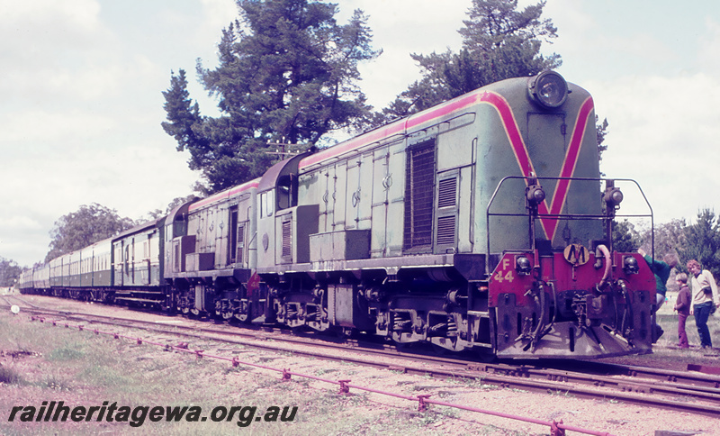 P23672
MRWA  F classes 44 and 46 double heading ARHS tour train to Dwellingup, tourists, PN line, side and front view
