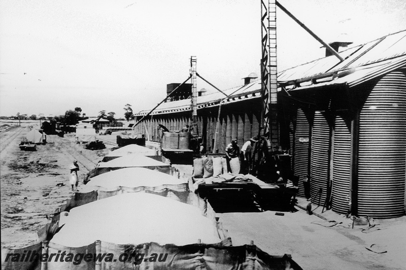 P23792
Open wagons with canvass side extensions loaded with wheat, bagged wheat being emptied into a grain elevator,  wheatbin, view along the track
