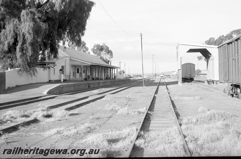 P23961
Station building, platform, yard, vans, goods shed, Mingenew, MR line, view from trackside
