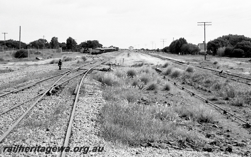 P23969
Points, lever, lamp, rodding, cabin on low level platform in distance, rake of wagons, yard, station master's house on right among trees, south end of Narngulu, MR line, view from track level looking north

