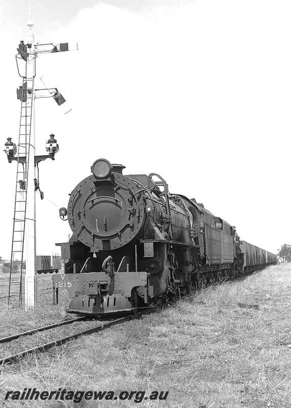 P24007
V class 1215 leads another V class tender to tender on a goods train home signal in photo. Unknown location 
