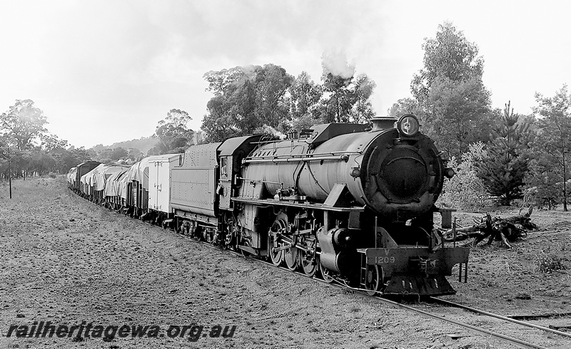P24021
V class 1209 hauling goods train near Allinson. BN line.
