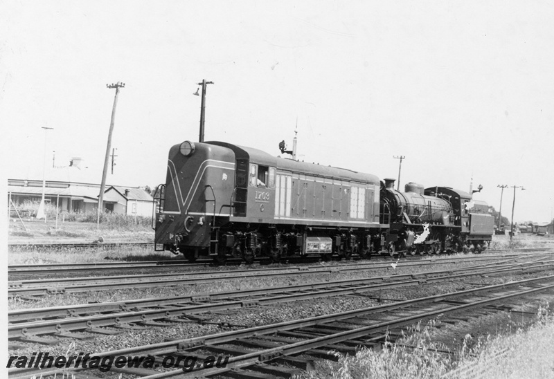 P24080
C class 1703, W class 917, Midland Junction, ER line, front and side view
