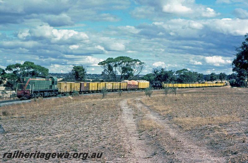 P24092
A class 1510, on goods train, climbing Cuballing bank, near Narrogin, GSR line, front and side view
