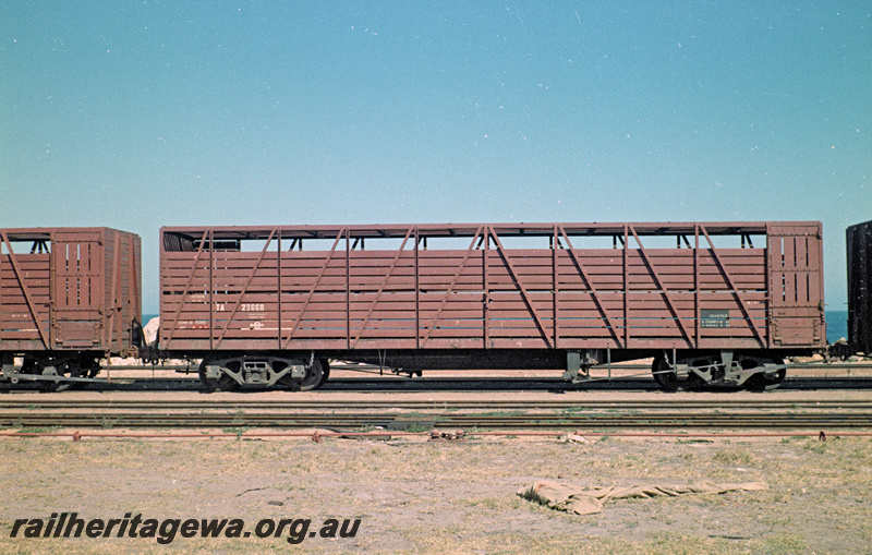 P24130
TA class 23668 livestock wagon, Geraldton, GA line, side view
