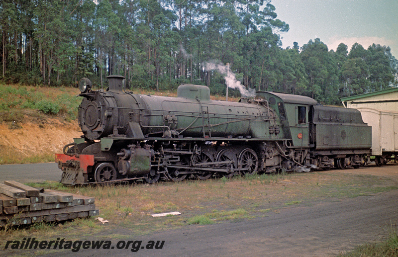 P24192
W class 928, shed, forest, Pemberton, PP line, front and side view
